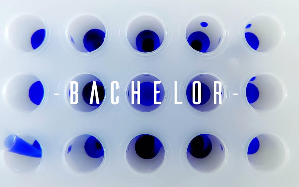 Bachelor1